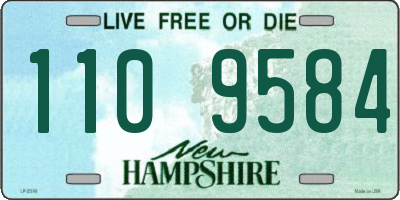 NH license plate 1109584