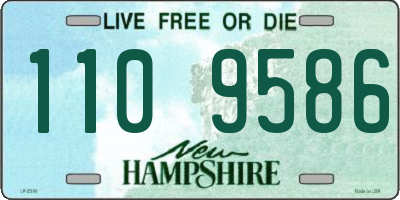 NH license plate 1109586