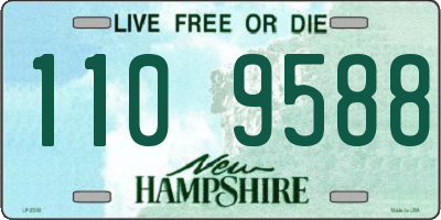 NH license plate 1109588