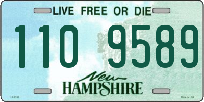 NH license plate 1109589