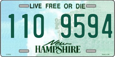 NH license plate 1109594