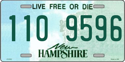 NH license plate 1109596