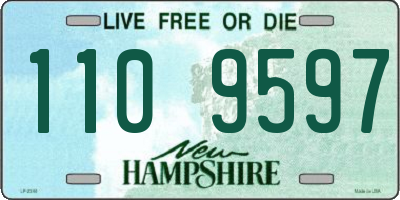 NH license plate 1109597