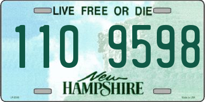 NH license plate 1109598