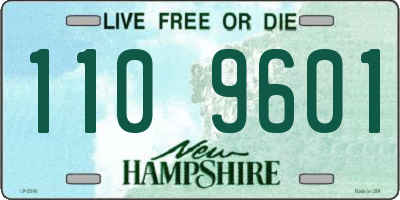 NH license plate 1109601