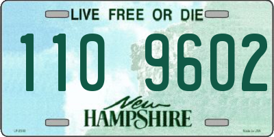 NH license plate 1109602