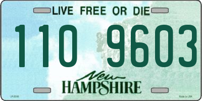 NH license plate 1109603