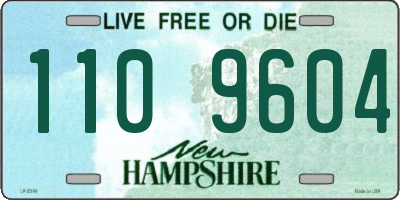 NH license plate 1109604