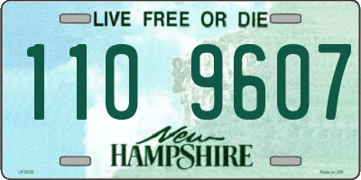 NH license plate 1109607