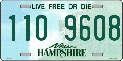 NH license plate 1109608