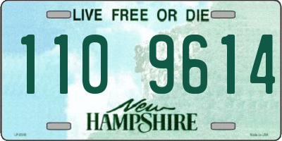 NH license plate 1109614