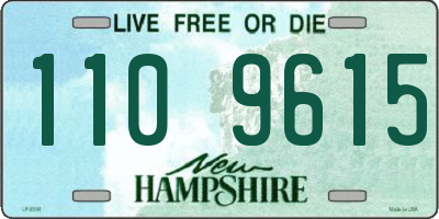 NH license plate 1109615
