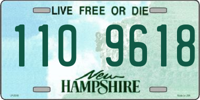 NH license plate 1109618