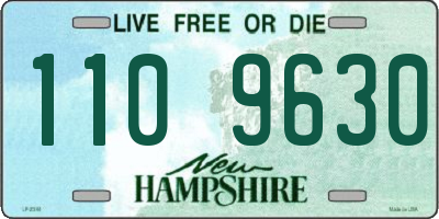 NH license plate 1109630