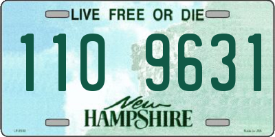 NH license plate 1109631