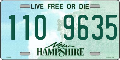 NH license plate 1109635