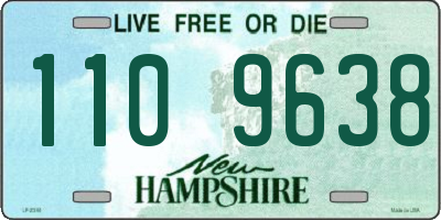 NH license plate 1109638