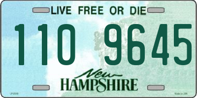 NH license plate 1109645