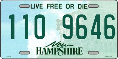 NH license plate 1109646