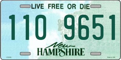 NH license plate 1109651