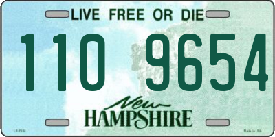 NH license plate 1109654