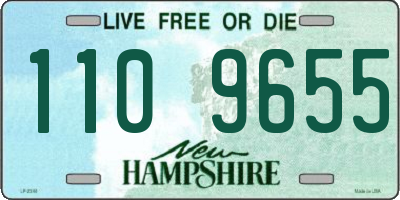 NH license plate 1109655