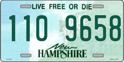 NH license plate 1109658