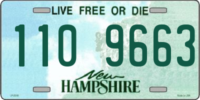 NH license plate 1109663