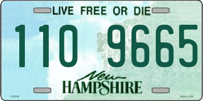 NH license plate 1109665