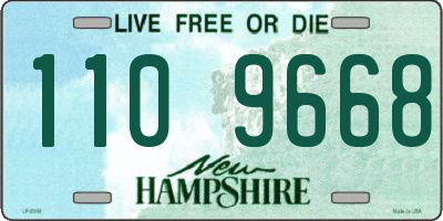 NH license plate 1109668
