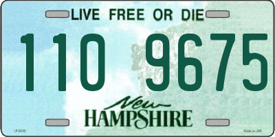 NH license plate 1109675
