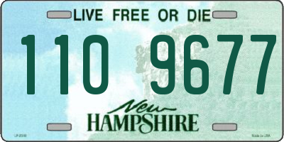 NH license plate 1109677
