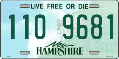 NH license plate 1109681