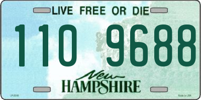 NH license plate 1109688