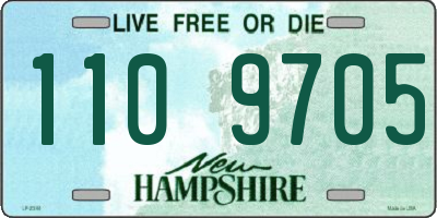 NH license plate 1109705
