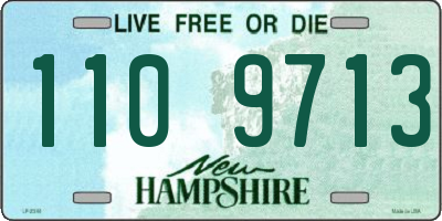 NH license plate 1109713