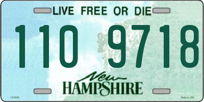 NH license plate 1109718