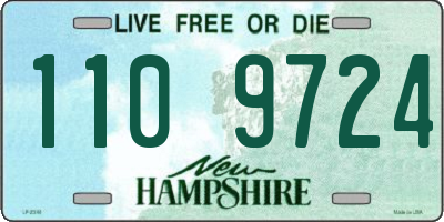 NH license plate 1109724