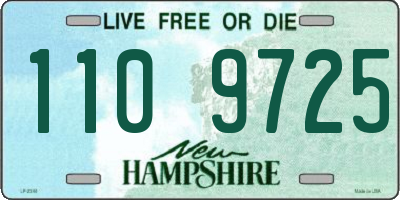 NH license plate 1109725