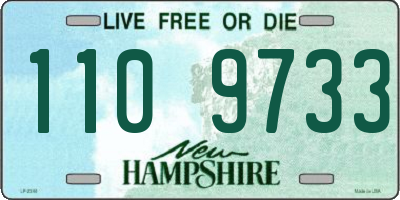 NH license plate 1109733