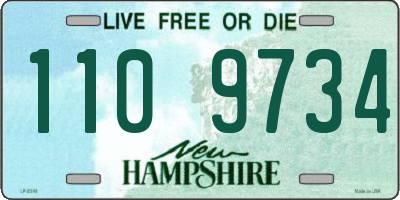 NH license plate 1109734