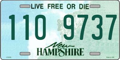 NH license plate 1109737