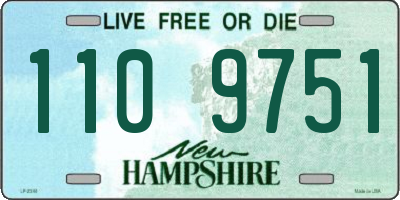 NH license plate 1109751