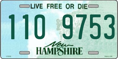NH license plate 1109753