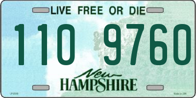 NH license plate 1109760