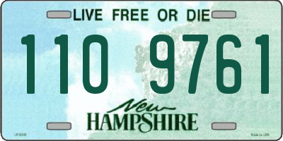NH license plate 1109761
