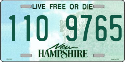 NH license plate 1109765