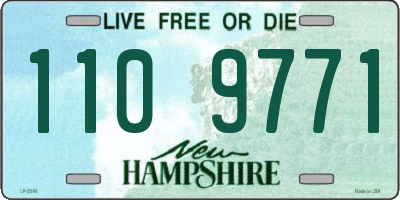 NH license plate 1109771