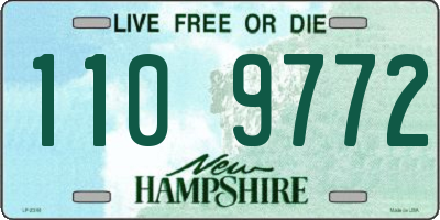 NH license plate 1109772