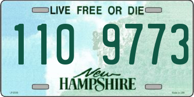 NH license plate 1109773